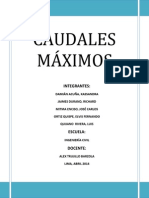 Informe Caudales Maximos