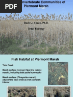 Fish and Invertebrate Communities of Piermont Marsh - David Yozzo (Great Ecology)