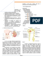 Resumo - Fisiologia Renal PDF