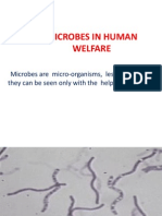 Microbes in Human Welfare