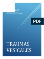 Trauma Vesical