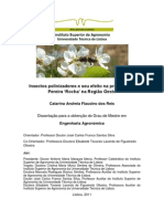 Polinização PDF