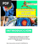 Utilizacion de Los Nutrientes