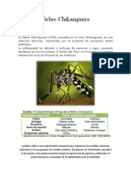 Fiebre Chikungunya