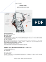 Musc2 PDF