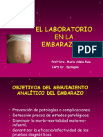 El Laboratorio en La Embarazada+2