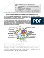 Estructurasyorganelosdelacelula 10 Bio PDF