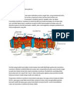 Mekanisme Transpor Membran Plasma