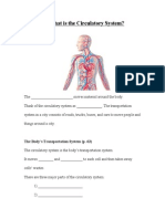 3 1 Circulatory System Guided Notes