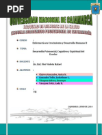 Seminario N° 5 Desarrollo Psicosocial, Cognitivo y Espiritual en El Escolar REPARTIDO