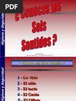 6 Sentidos