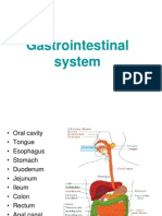 1.gastrointestinal System