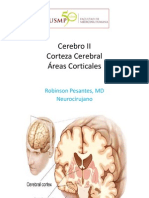 Clase 3 Cerebro II PDF