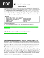 Heart Dissection Lab Report Guide (GALO)