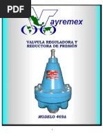 Catálogo Vayremex - RP469A-06 PDF