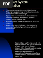 The Motor System Examination