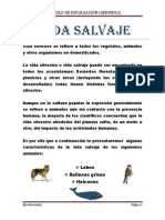 Vida Salvaje