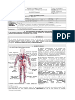 Circulacion en El Ser Humano