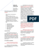 Clasificación de Los Documentos Pontificios