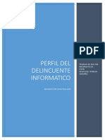 Perfil Del Delincuente Informatico PDF