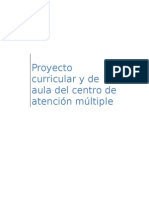 Proyecto Curricular y de Aula Del CAM