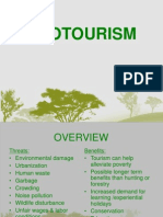 Ecotourism and The Environment