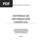 Sistemas de Infomacion Gerencial