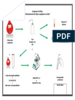 Diagrama de Flujo de Tipo Sanguineo en Tubo