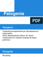 Patogenia Tuberculosis