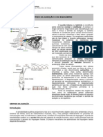 07.sentido Audicao Equilibrio PDF