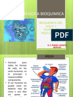 Bioquimica Del Agua y Tampones Fisiologicos