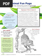 Animal Fun Opossum PDF