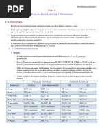 Tema 3. Los Pronombres Personales PDF