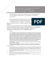 Dialnet DesarrolloProduccionYBeneficioAmbientalDeLaProducc 4468861 PDF