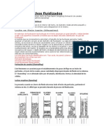 Tipos de Lechos Fluidizados