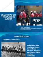 Seguridadtrabajosenaltura PDF