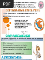 POINT Defensa Civil en El Perú1