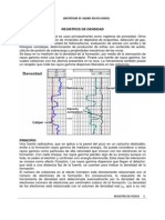 Registros de Densidad PDF