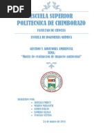 Matriz de Evaluacion de Impacto Ambiental