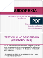 Orquidopexia PDF