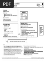 13InsulinAgType1 PDF