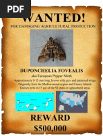 Wanted Poster Template