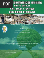 Contaminacion Ambiental en Los Canales Cois, Pulen y Yortuque de La Ciudad de Chiclayo