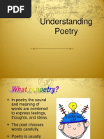 Understanding Poetry