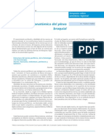 PDF Plexo Braquial PDF