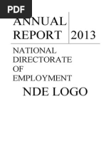 2013 NDE Annual Report