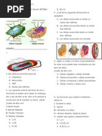 Evaluacion Recuperatoria Celula Septimo Grado