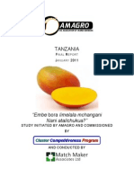 Mango VCA Final January 2011 PDF