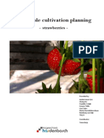 Report Strawberry Cultivation Plan (Final)