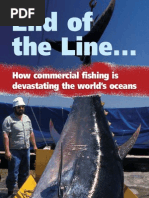 End of The Line: Stop Eating Fish